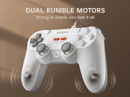 Dual Asymmetric Rumble Motors